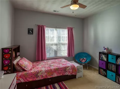 24314 John Henry St, Windsor, VA 23487 photo 22