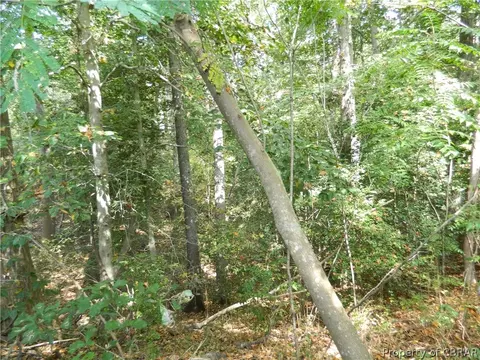 7225 Old Pinetta Rd, Gloucester, VA 23061 photo 22