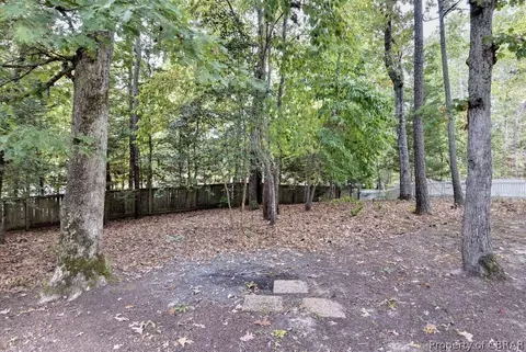 133 Blackheath, Williamsburg, VA 23188 photo 38