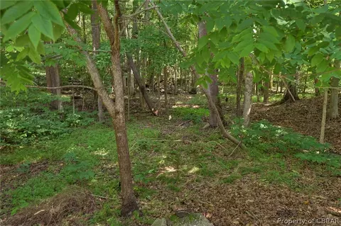 154 Cooley Rd, Williamsburg, VA 23188 photo 36