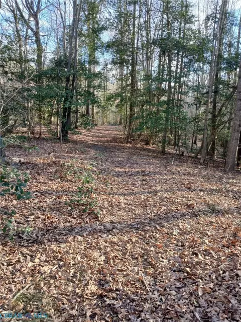 0 Bull Neck Rd, Caret, VA 22436