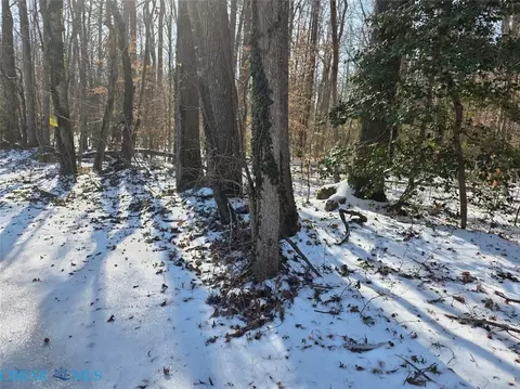 00 Whitetail Dr, Gloucester, VA 23061 photo 3