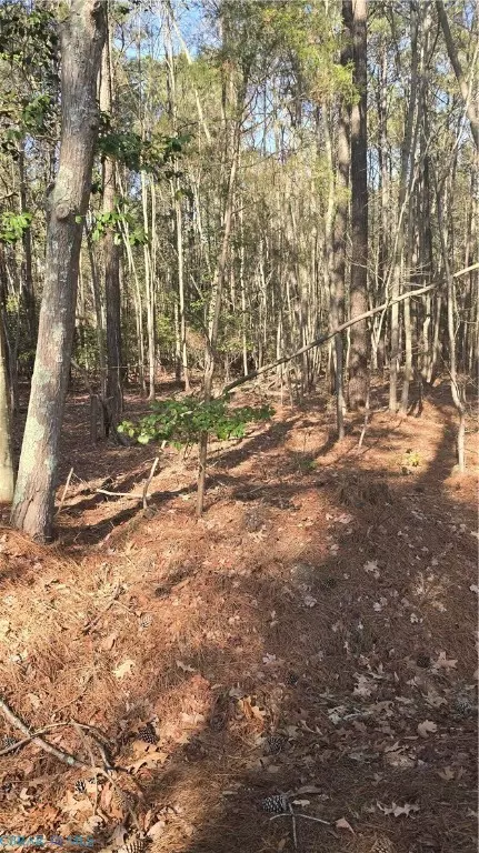 0 Pepper Creek Rd, Susan, VA 23163