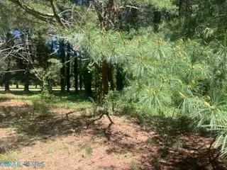 0 Laurel Haven Dr, Wicomico, VA 23184