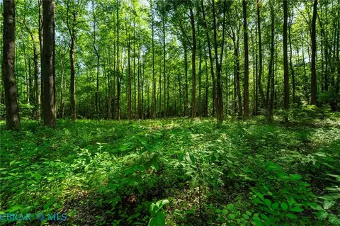 00 Ark Rd, Ark, VA 23061 photo 15