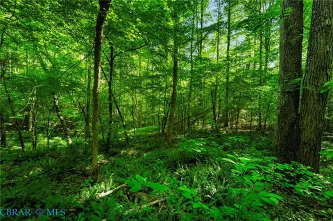 00 Ark Rd, Ark, VA 23061 photo 21