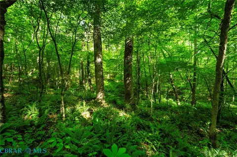 00 Ark Rd, Ark, VA 23061 photo 22