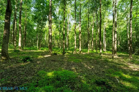 00 Ark Rd, Ark, VA 23061 photo 25