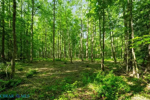 00 Ark Rd, Ark, VA 23061 photo 24