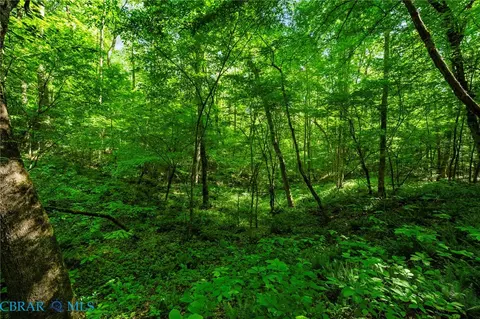00 Ark Rd, Ark, VA 23061 photo 20