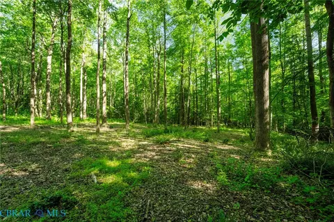 00 Ark Rd, Ark, VA 23061 photo 26