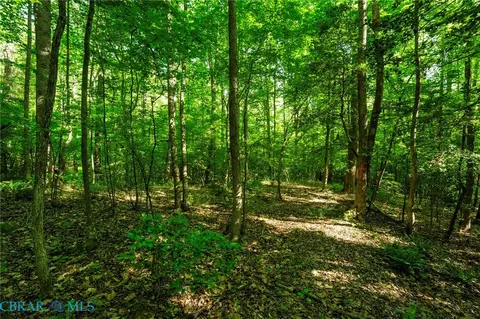 00 Ark Rd, Ark, VA 23061 photo 23