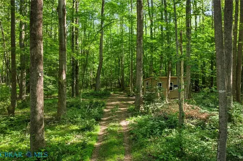 00 Ark Rd, Ark, VA 23061 photo 11