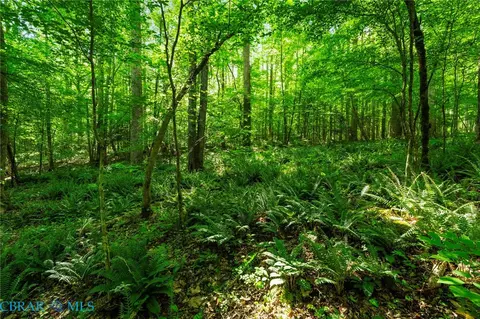 00 Ark Rd, Ark, VA 23061 photo 19