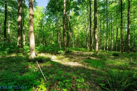 00 Ark Rd, Ark, VA 23061 photo 27