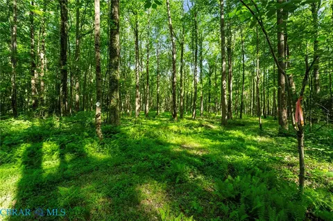 00 Ark Rd, Ark, VA 23061 photo 28