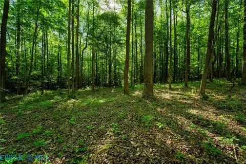 00 Ark Rd, Ark, VA 23061 photo 17