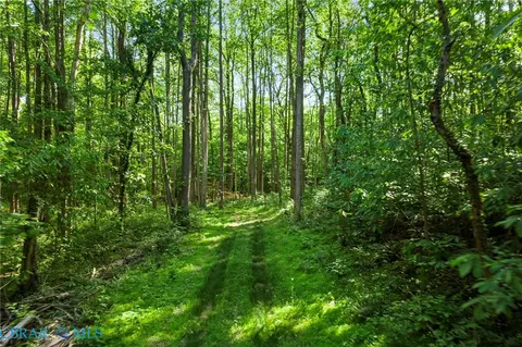00 Ark Rd, Ark, VA 23061 photo 10