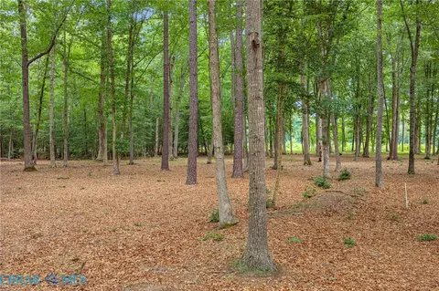 10 18ac Five Gables Woodlands, Gloucester, VA 23061 photo 11