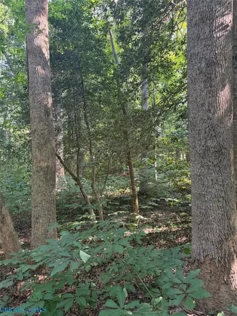1 27ac Ware St, Gloucester, VA 23061 photo 3