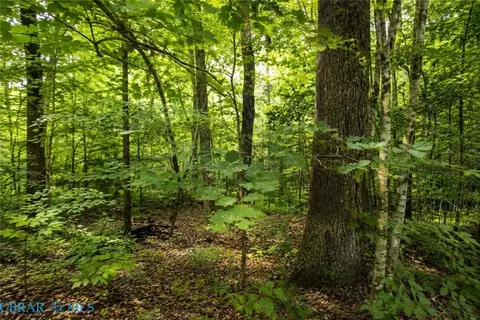 9225 Diascund Rd, Lanexa, VA 23089 photo 7