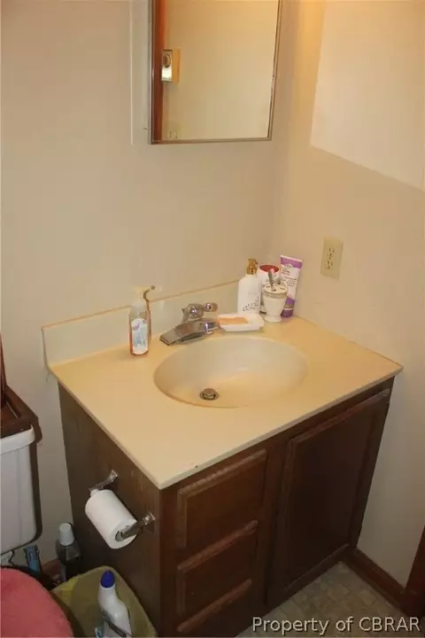 21 Martin Diggs Way, Onemo, VA 23130 photo 19