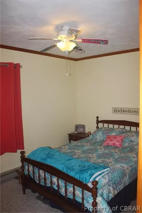 21 Martin Diggs Way, Onemo, VA 23130 photo 14