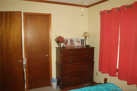 21 Martin Diggs Way, Onemo, VA 23130 photo 15