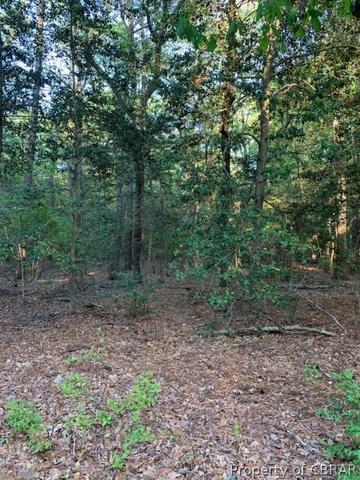 17 8ac Cherry Point Rd, Gwynn, VA 23066