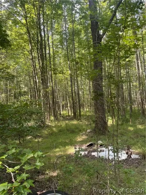9712 Indian Rd, Gloucester, VA 23061 photo 6