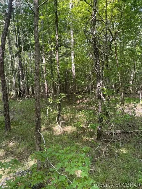 9712 Indian Rd, Gloucester, VA 23061 photo 7