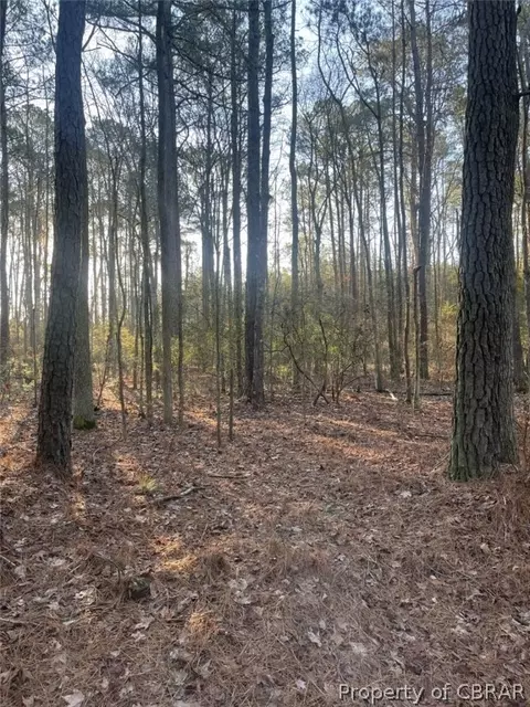 244 Ac Buzzard Point Rd, Diggs, VA 23109