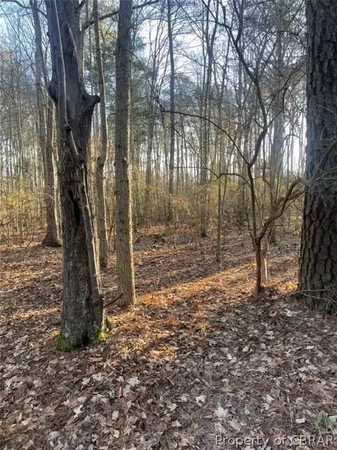 244 Ac Buzzard Point Rd, Diggs, VA 23109 photo 8