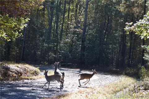 244 Ac Buzzard Point Rd, Diggs, VA 23109 photo 9