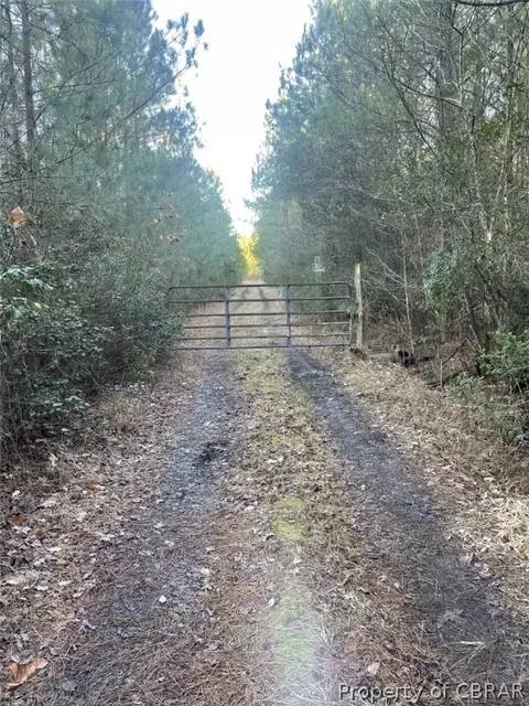 155 Ac Bethel Beach Rd, Diggs, VA 23109