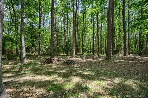 8328 Woodhaven Dr, Gloucester, VA 23061 photo 28