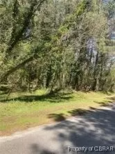 lot12 Heron Ct, Locust Hill, VA 23092