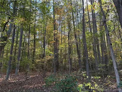 0 Mount Prospect, Laneview, VA 22504