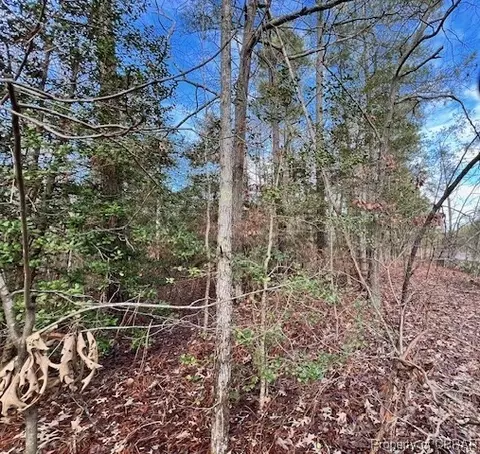 00 Tidewater Trl, Jamaica, VA 23079