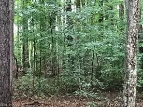 0 Shadywoods Ln, Gloucester, VA 23061