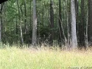 629 Chapel Neck Rd, North, VA 23128