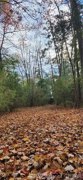 0 Wolf Trap Ln, Onemo, VA 23130 photo 13
