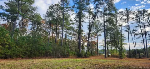 0 Wolf Trap Ln, Onemo, VA 23130 photo 12