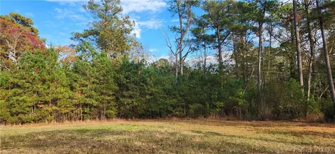 0 Wolf Trap Ln, Onemo, VA 23130 photo 11