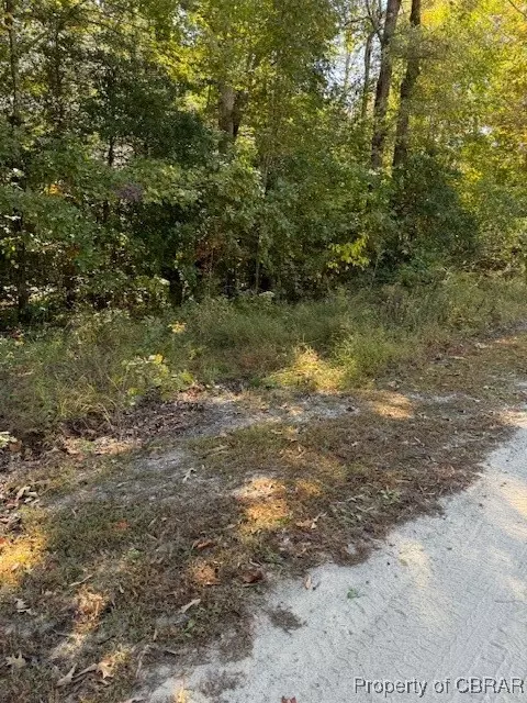 5 Lots- Cedar Trl, Gloucester, VA 23061 photo 4