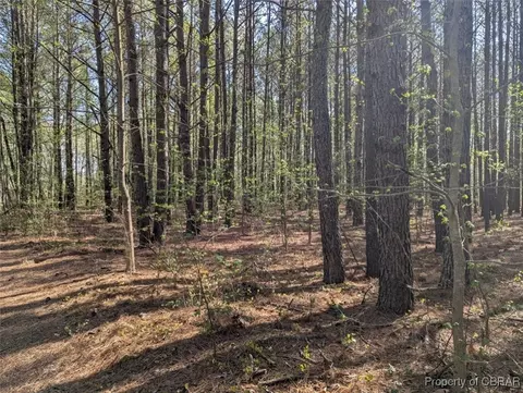 00 Silver Ridge Rd, Middlesex, VA 23169 photo 5