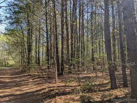 00 Silver Ridge Rd, Middlesex, VA 23169 photo 7