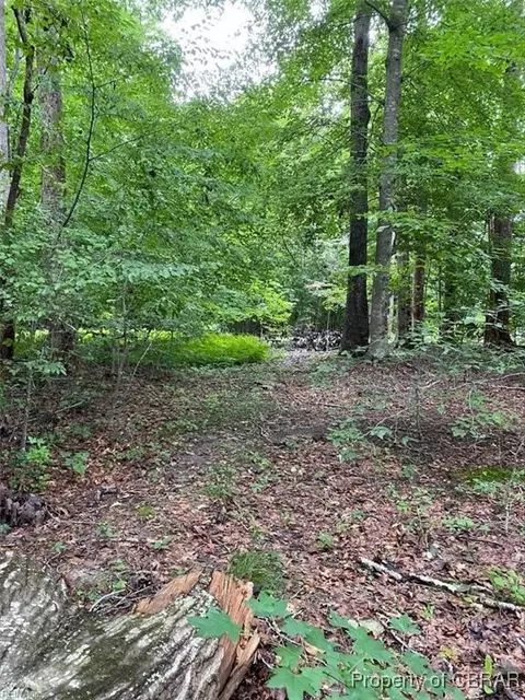 1 Ac Breezy Cv, Gloucester, VA 23061 photo 9