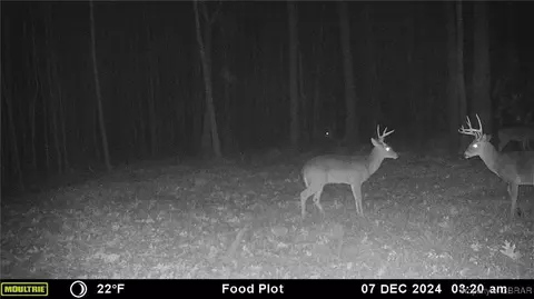 34 Acres Windsor Rd, Dutton, VA 23050 photo 28