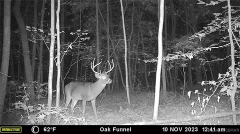 34 Acres Windsor Rd, Dutton, VA 23050 photo 31